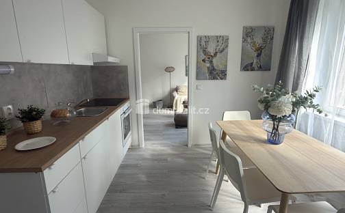 Pronájem bytu 2+kk 39 m², Purkyňova, Ústí nad Labem - Střekov