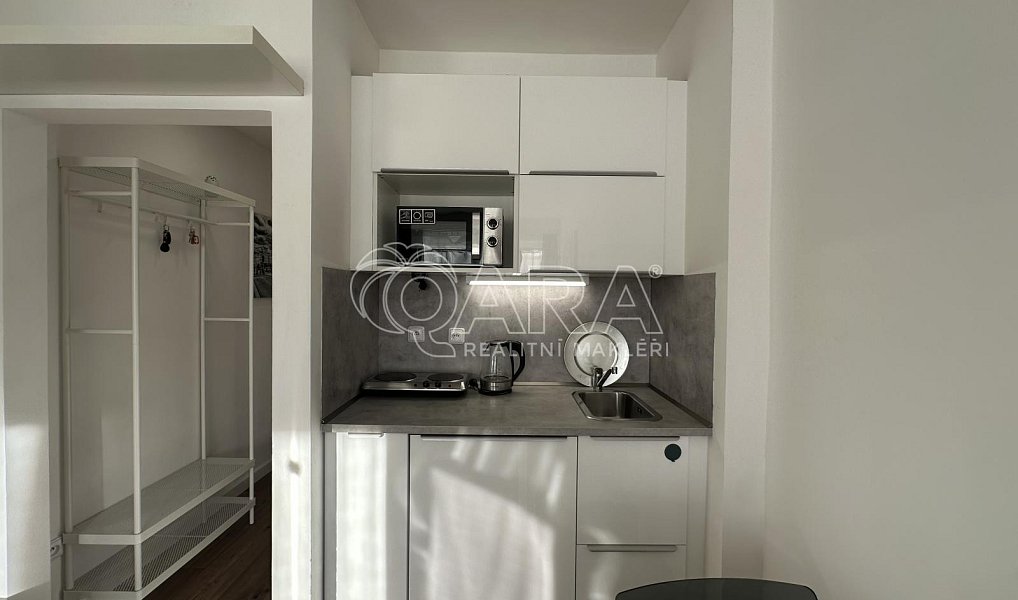 Pronájem bytu 1+kk 23 m², Praha – náhled fotky 4