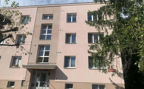 Prodej bytu 2+1 50 m², Plk. B. Petroviče, Dobříš, okres Příbram