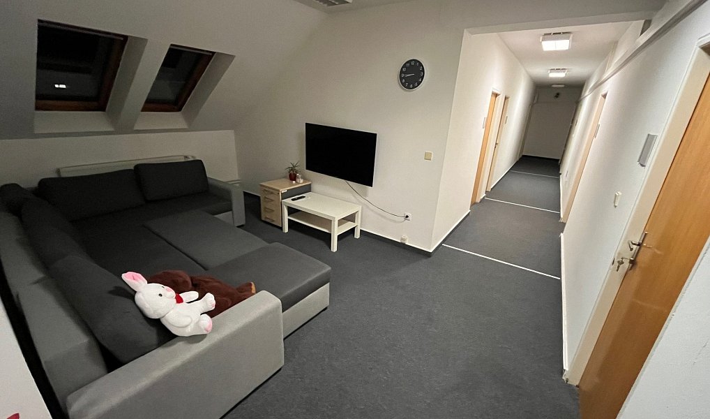 Pronájem bytu 1+kk 20 m², Pardubice – náhled fotky 5