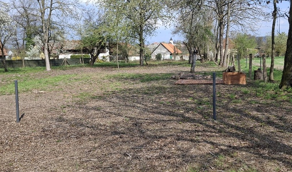Prodej stavebního pozemku 2 666 m², Jenišovice – náhled fotky 7