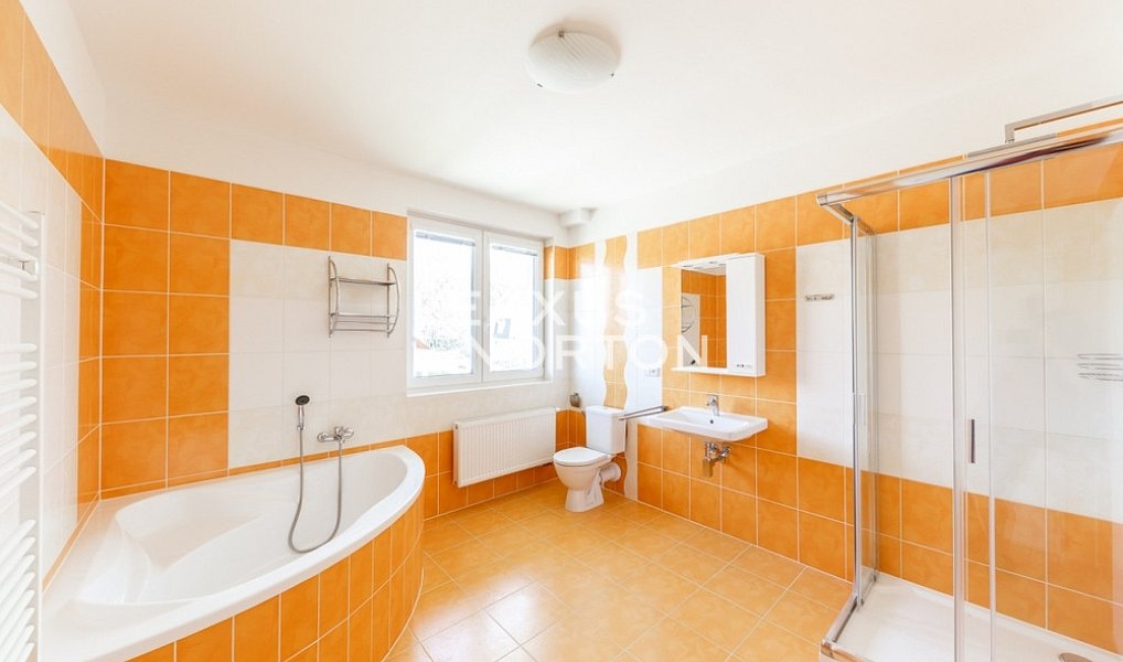Pronájem domu 400 m² s pozemkem 10 000 m², Průhonice – náhled fotky 7