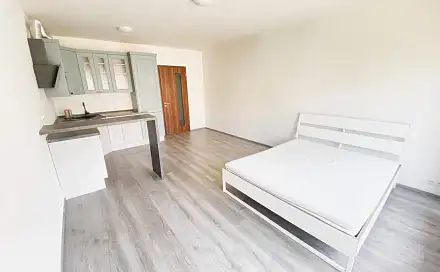 Pronájem bytu 1+kk 45 m², Olgy Havlové, Praha 3 - Žižkov