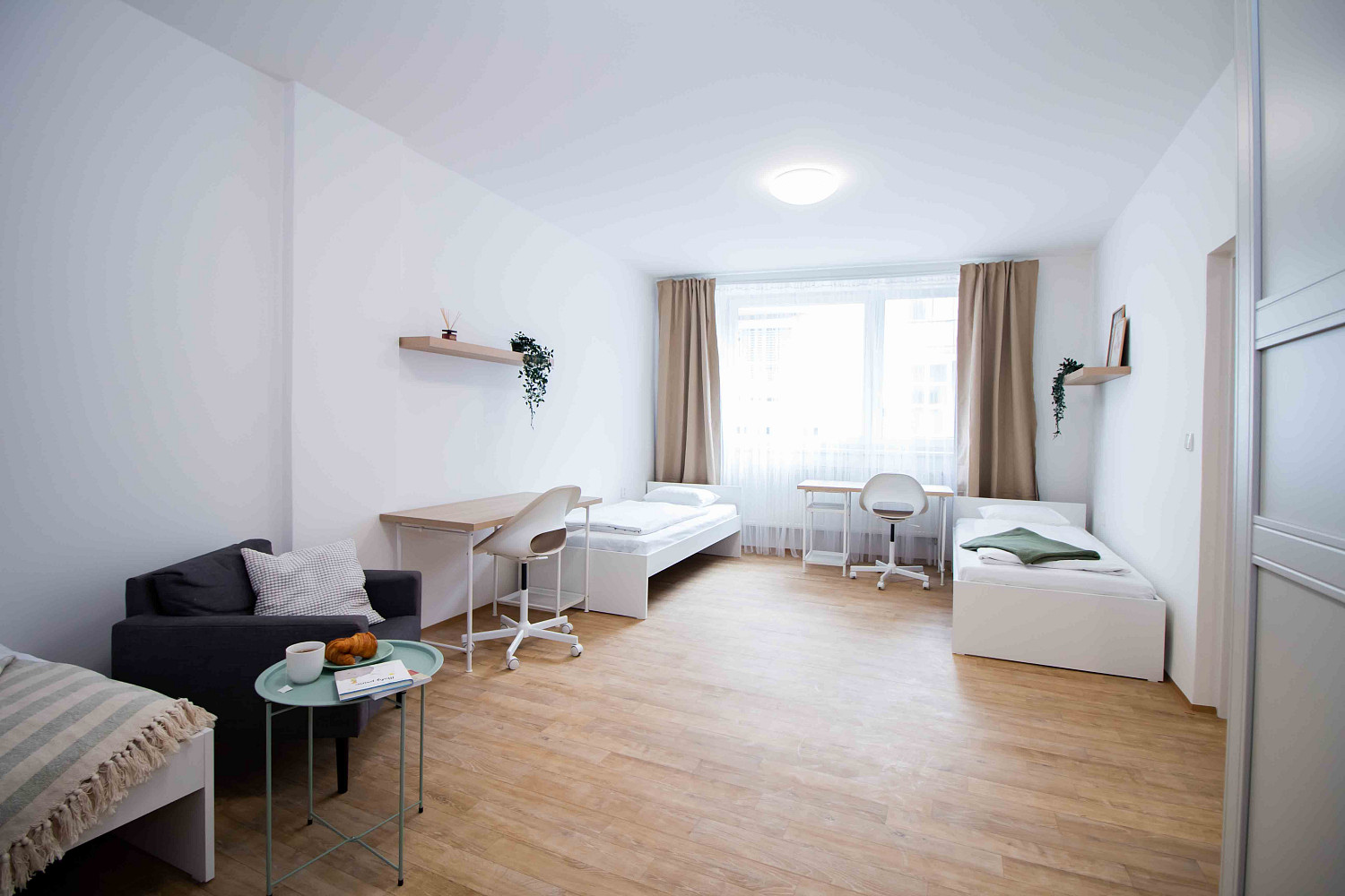 2 rooms, 74.0 m² in Brno