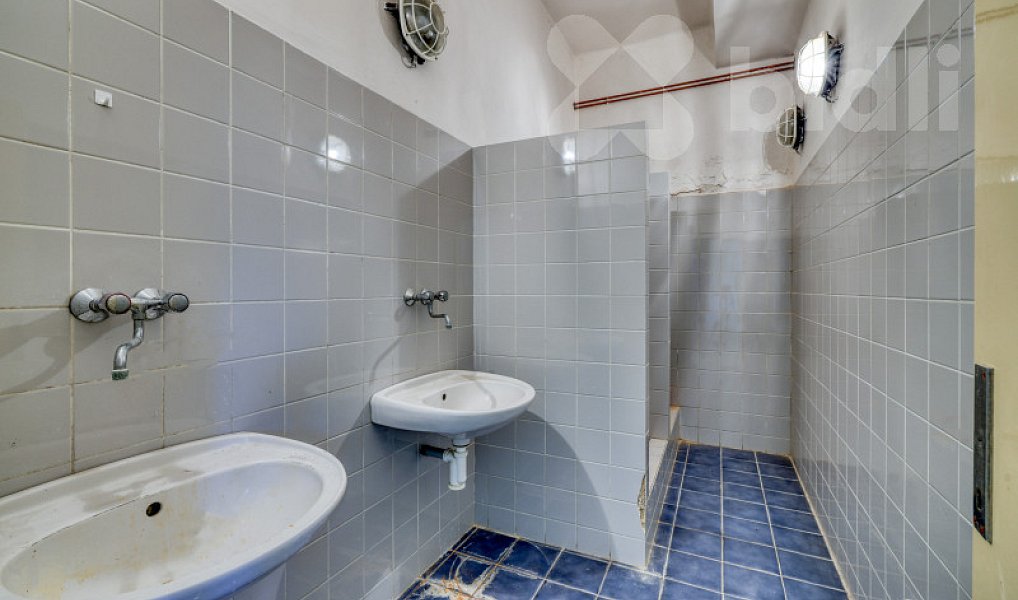 Pronájem skladovacích prostor 280 m², Dolní Bousov – náhled fotky 31