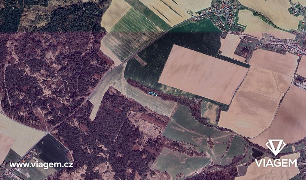 Prodej lesa 642 m², Bouzov – náhled fotky 3