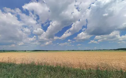 Prodej pole 17 261 m², Stádlec - Hájky, okres Tábor