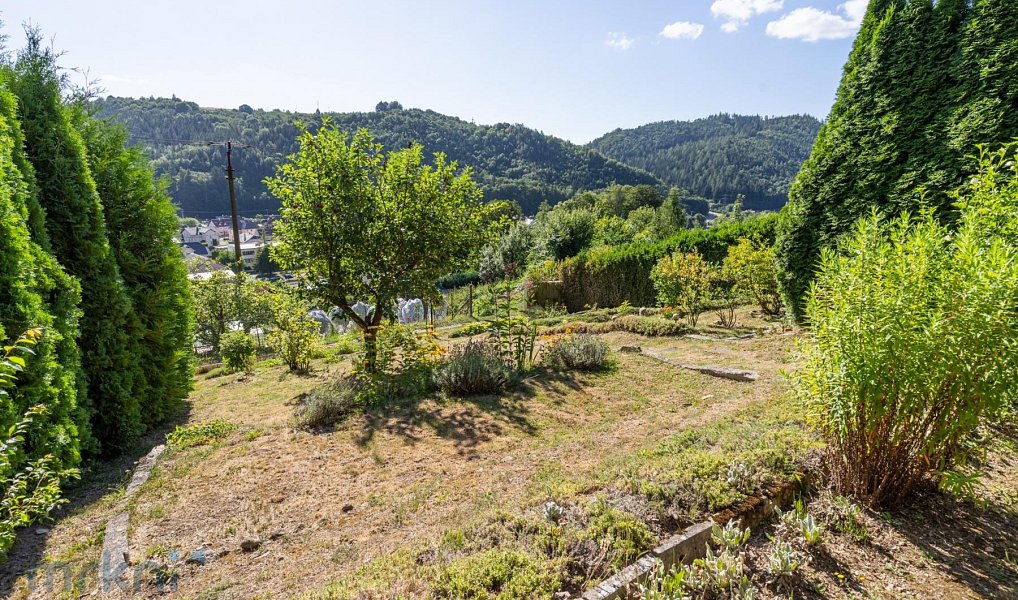 Prodej zahrady 400 m², Hanušovice – náhled fotky 4