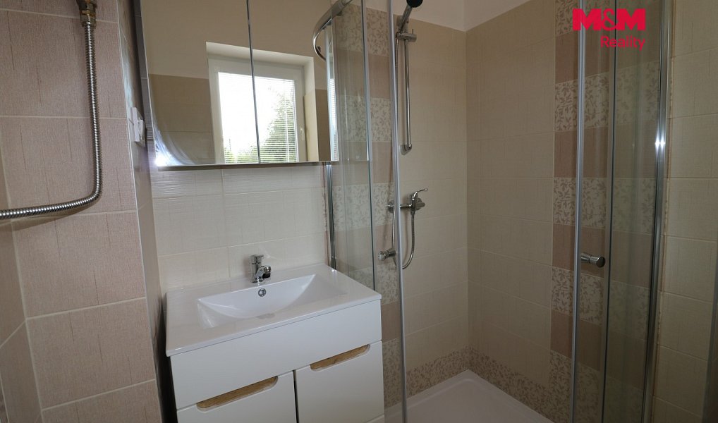 Pronájem bytu 1+1 47 m², Velké Březno – náhled fotky 4