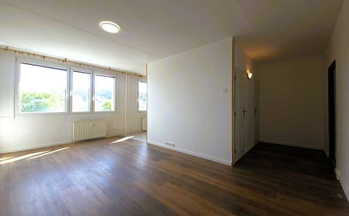 Pronájem bytu 3+1 68 m², Jana Opletala, Most