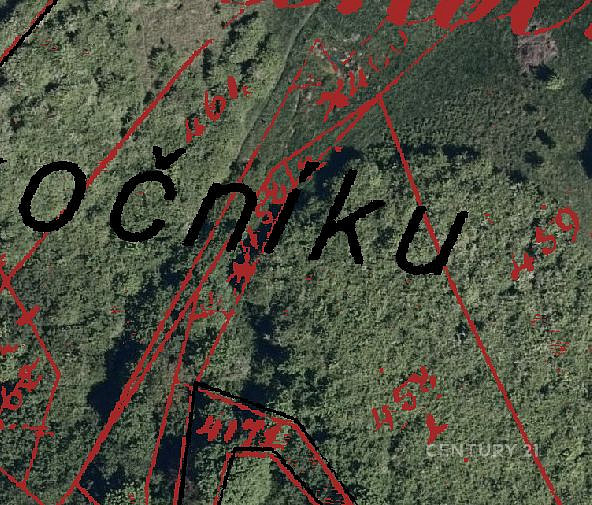 Fotka 4 z 15