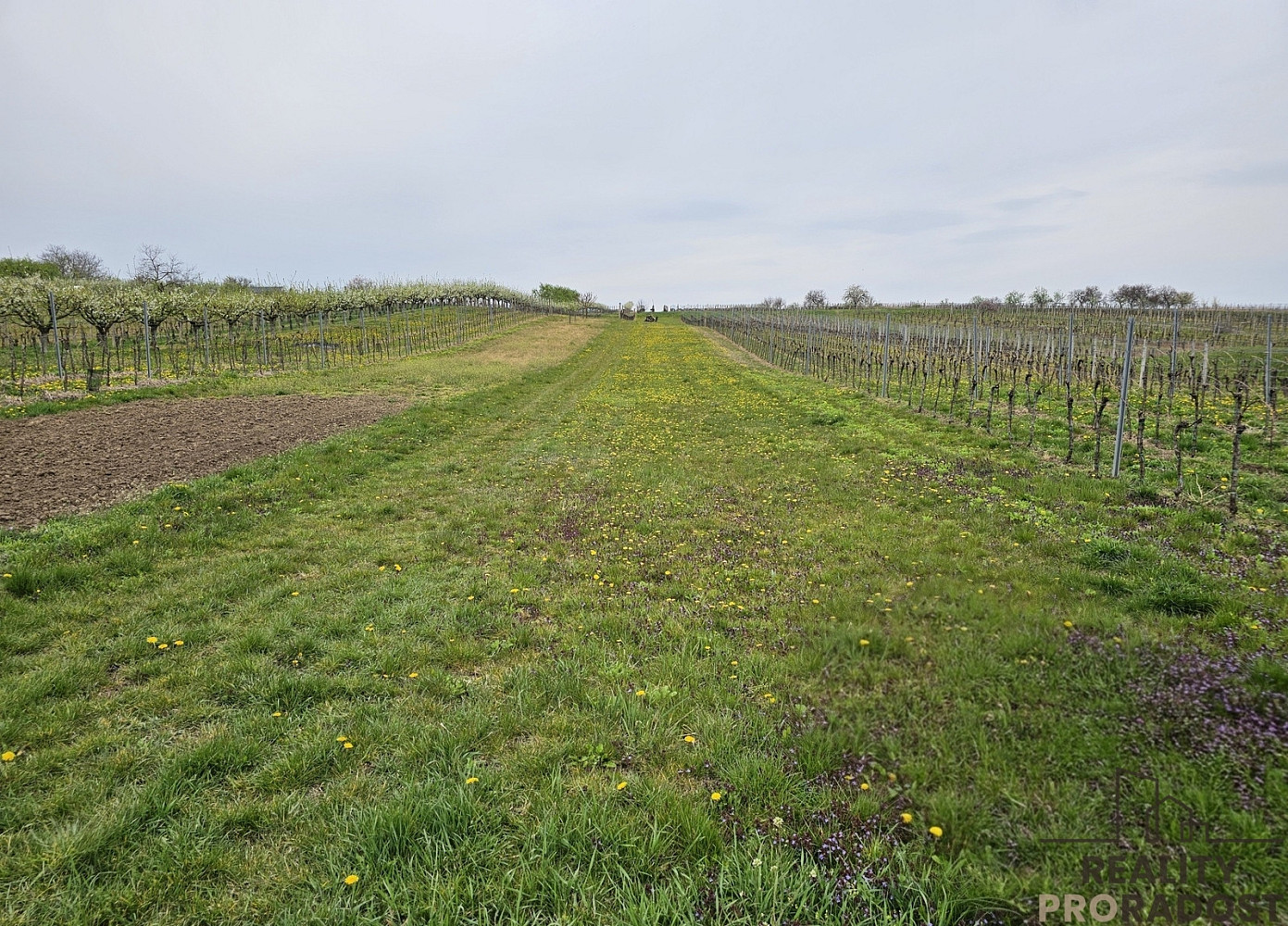 Prodej stavebního pozemku 800 m² — photo 4