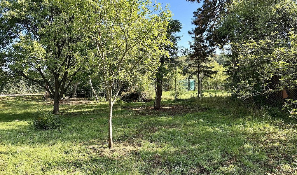 Prodej zahrady 642 m², Brno – náhled fotky 7