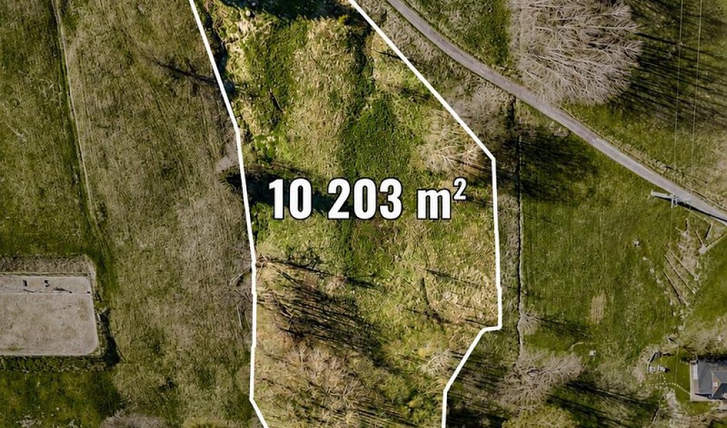Prodej louky 10 203 m², Špindlerův Mlýn – náhled fotky 3