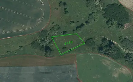 Prodej pole 1 935 m², Tachov