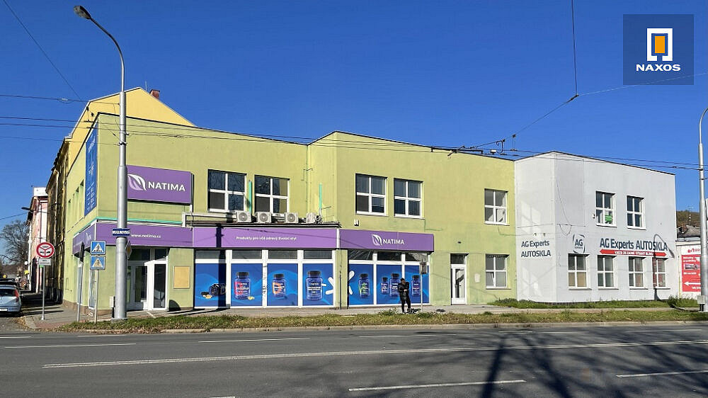Pronájem obchodních prostor 876 m²