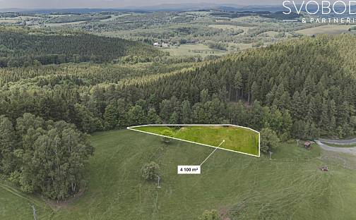 Prodej stavebního pozemku 4 100 m², Olešnice v Orlických horách