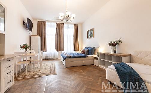 Prodej komerčního objektu (jiného typu) 260 m², U Bulhara, Praha 1 - Nové Město