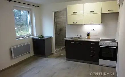 Pronájem bytu 1+kk 26 m²