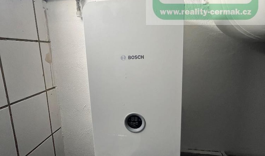 Pronájem domu 220 m² s pozemkem 240 m², Mířkov – náhled fotky 13