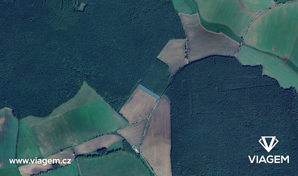 Prodej pole 3 298 m², Smidary – náhled fotky 3