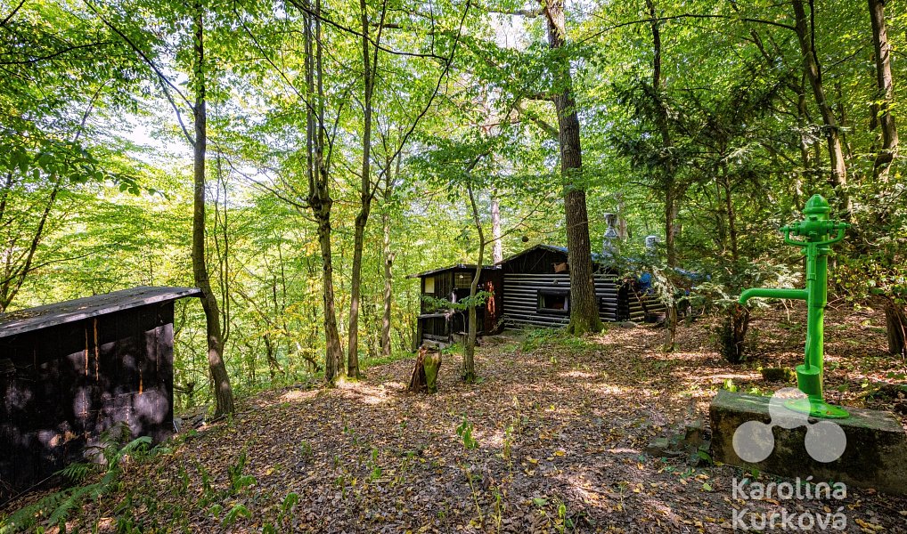 Prodej chaty/chalupy 24 m² s pozemkem 113 m², Petrov – náhled fotky 20