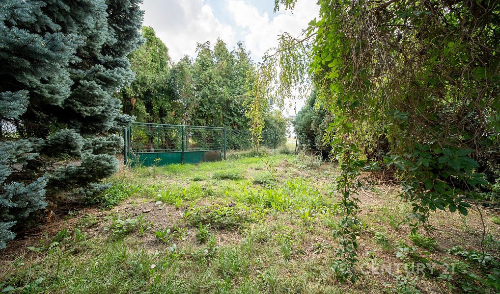 Prodej domu 145 m² s pozemkem 2 417 m², Radonice – náhled fotky 12