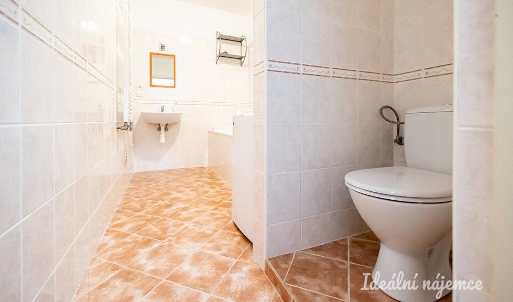 Pronájem bytu 1+kk 47 m², Šestajovice – náhled fotky 11