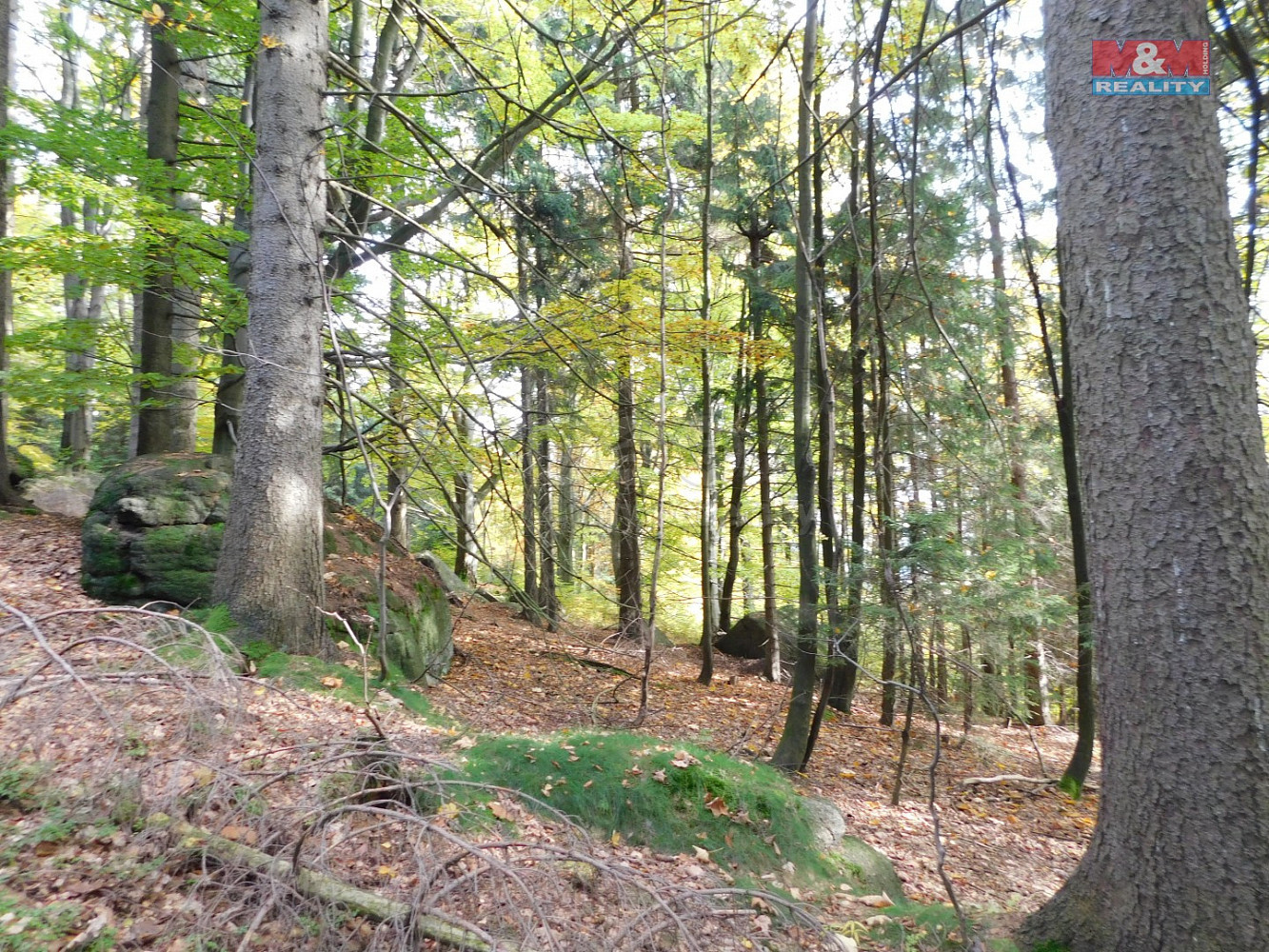 Prodej louky 1 588 m² — photo 2