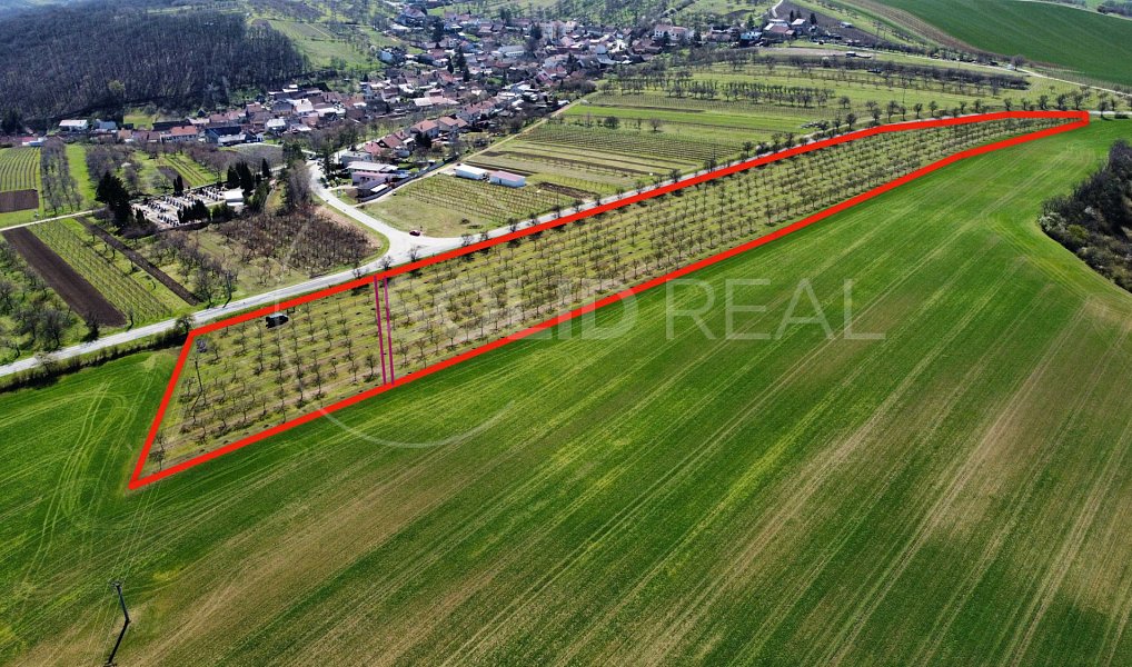 Prodej pole 24 643 m², Horní Bojanovice – náhled fotky 7