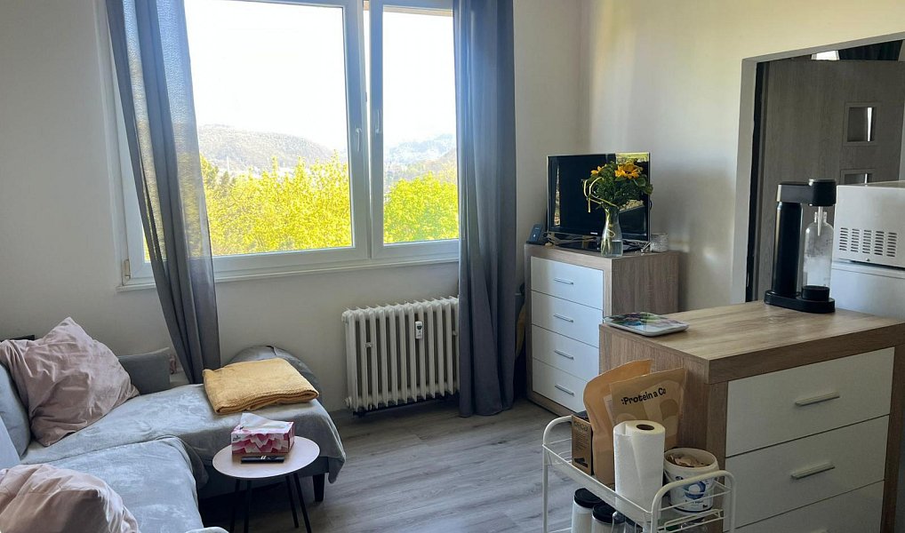 Pronájem bytu 2+kk 41 m², Ústí nad Labem – náhled fotky 4