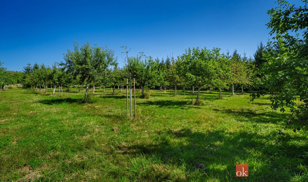 Prodej stavebního pozemku 12 049 m², Varnsdorf – náhled fotky 10