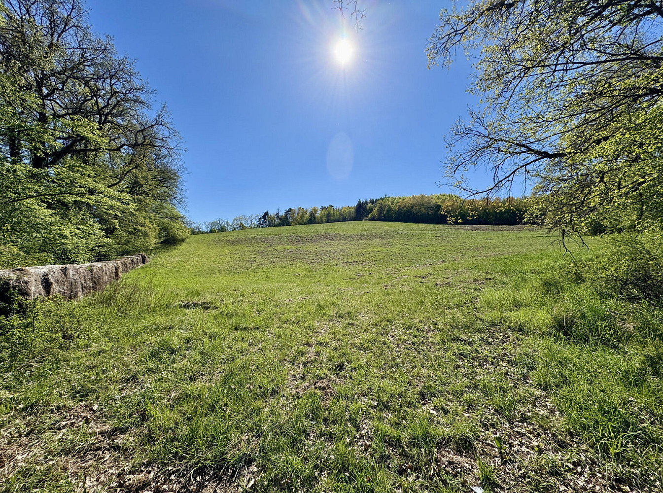 Prodej pole 60 462 m²