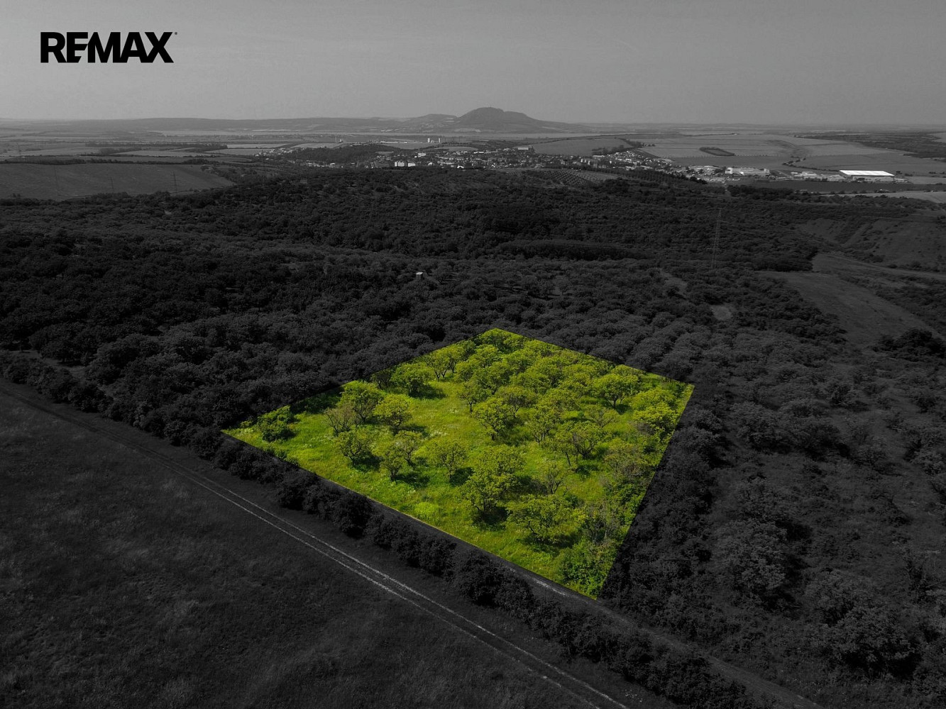 Prodej pozemku 3 780 m² – fotografie 2