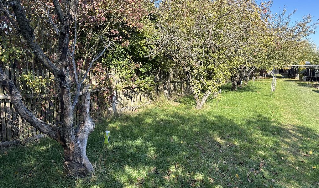 Prodej domu 65 m² s pozemkem 204 m², Myslibořice – náhled fotky 14