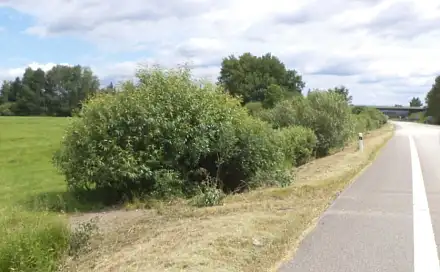 Dražba louky 1 940 m², Veselí nad Lužnicí