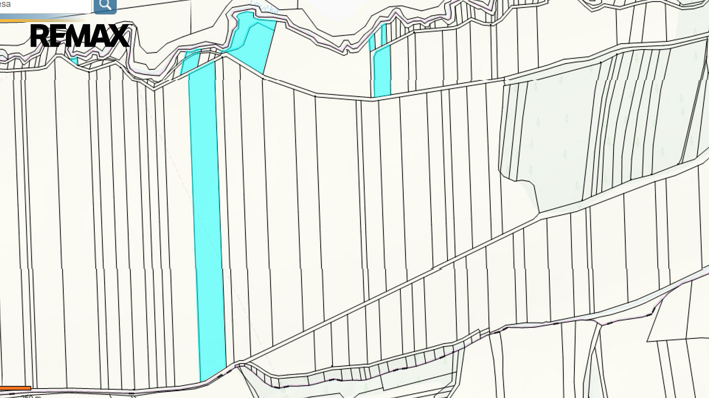 Prodej pole 7 286 m² – fotografie 2