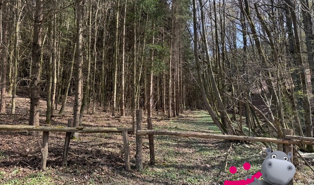 Prodej lesa 6 656 m², Luhačovice – náhled fotky 3