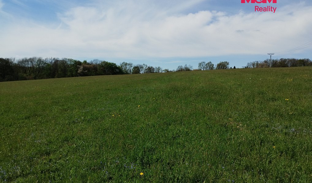 Prodej stavebního pozemku 4 600 m², Bílovec – náhled fotky 4