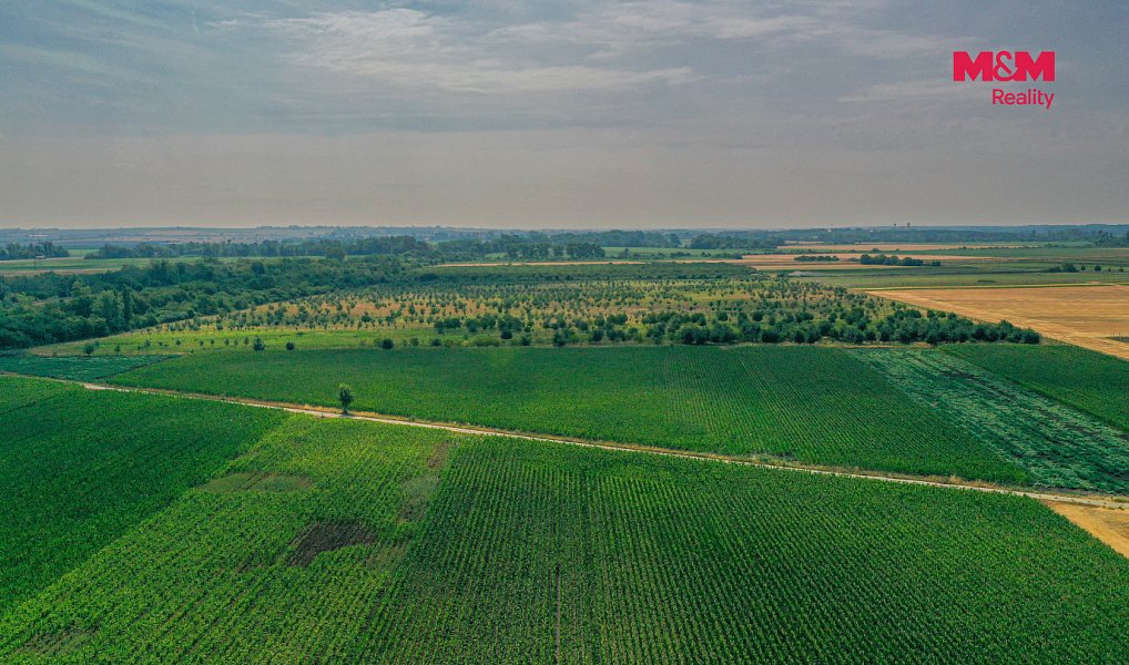 Prodej pole 123 477 m², Rakvice – náhled fotky 7
