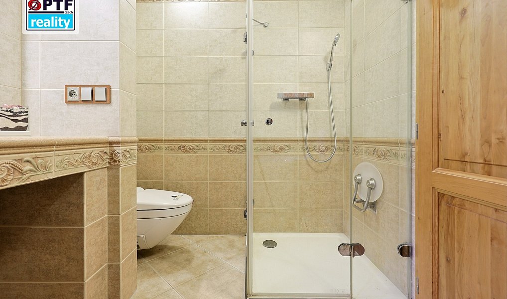 Prodej domu 353 m² s pozemkem 743 m², Plzeň – náhled fotky 30