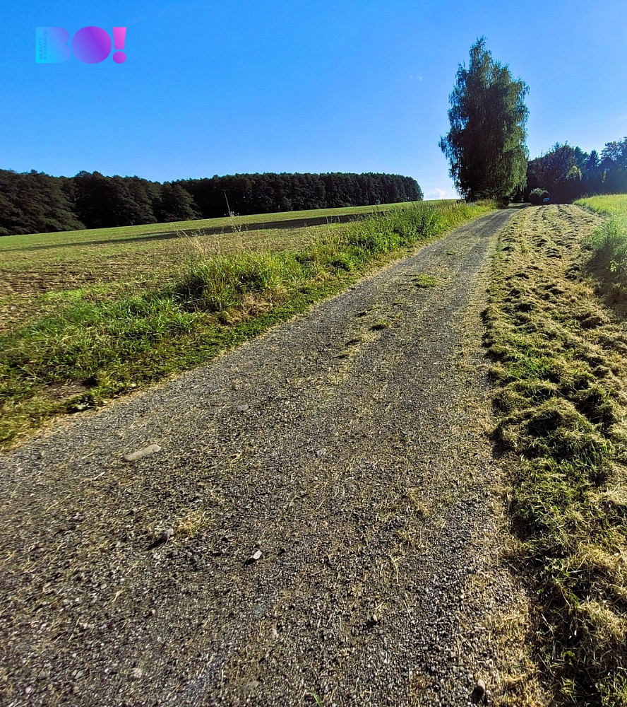 Prodej stavebního pozemku 1 500 m² – fotografie 4