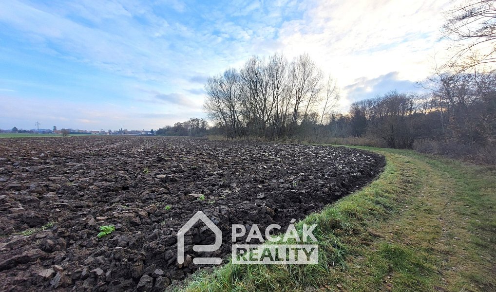 Prodej pole 15 995 m², Kožušany-Tážaly – náhled fotky 18