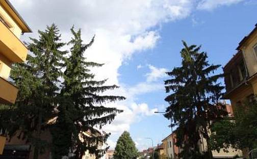 Pronájem pokoje 27 m², Babičkova, Brno