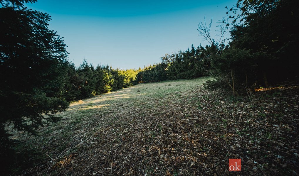 Prodej stavebního pozemku 1 284 m², Sušice – náhled fotky 19