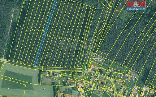 Prodej lesa 2 085 m², Dražíč, okres České Budějovice