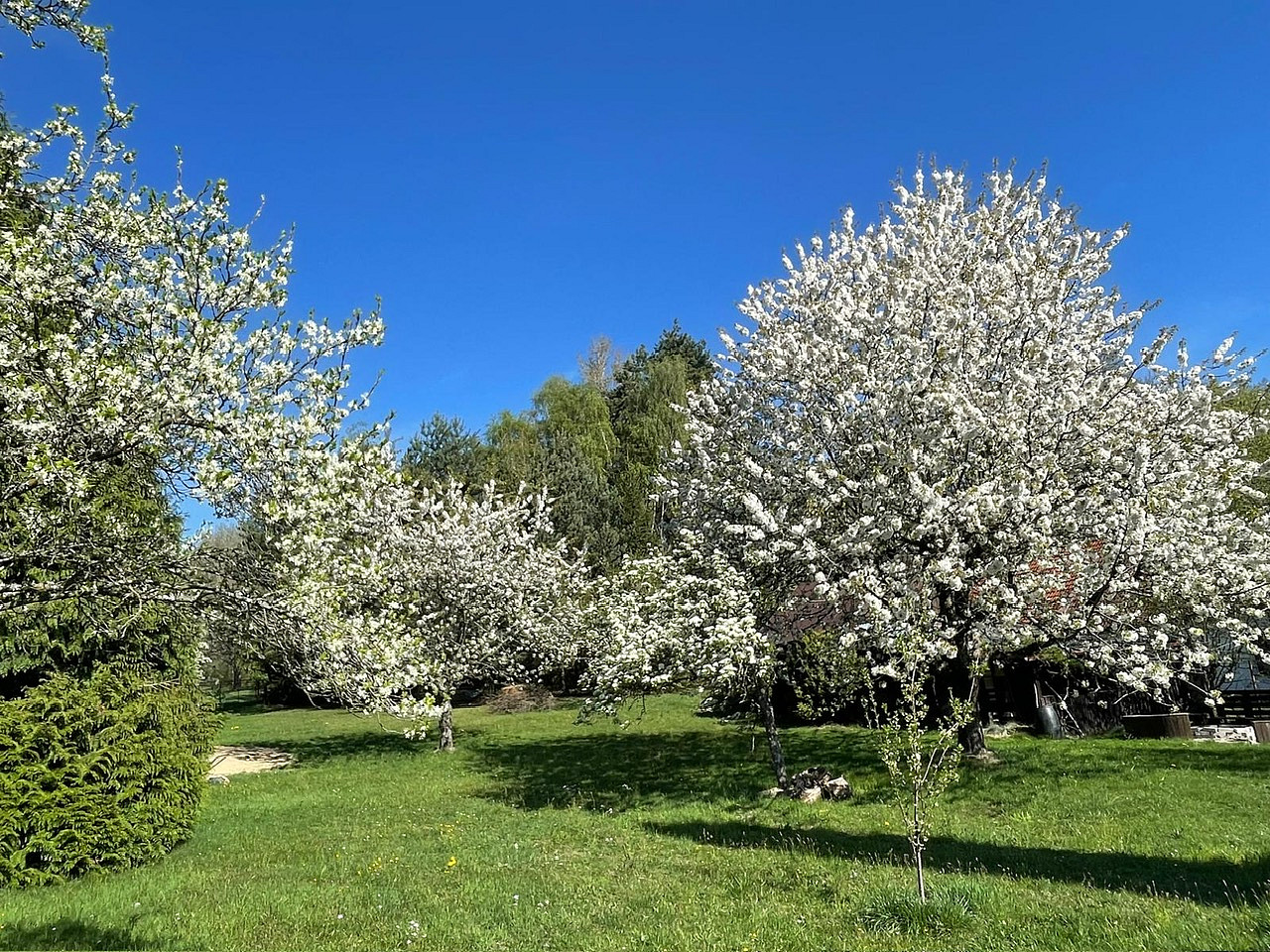 Prodej chalupy 120 m² s pozemkem 1 559 m² – pohled 5