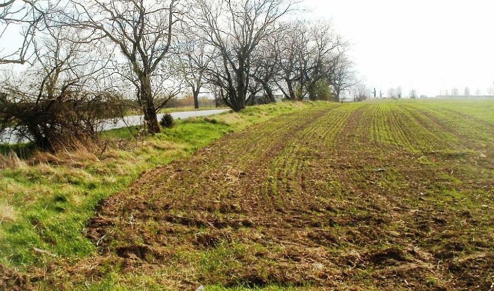 Prodej komerčního pozemku 18 000 m², Olomouc – náhled fotky 4