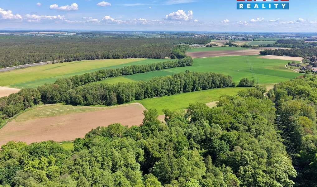 Prodej lesa 5 227 m², Lysá nad Labem – náhled fotky 11