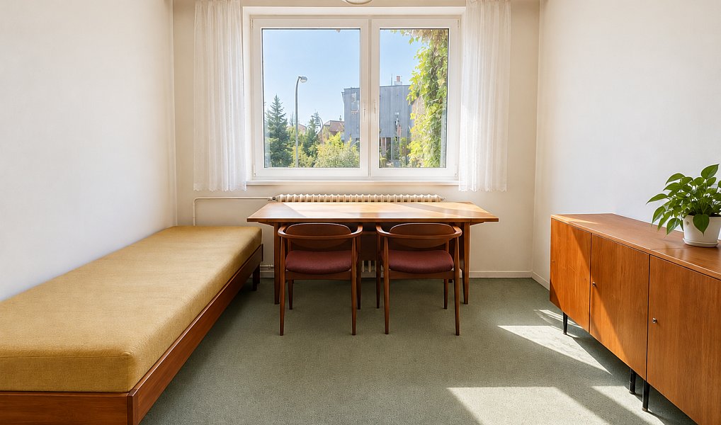 Prodej domu 228 m², Jihlava – náhled fotky 16